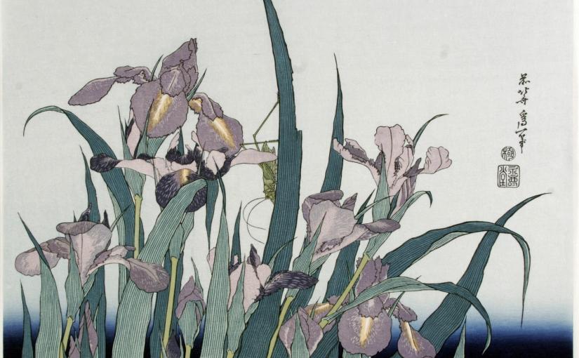 How to grow Japanese Irises